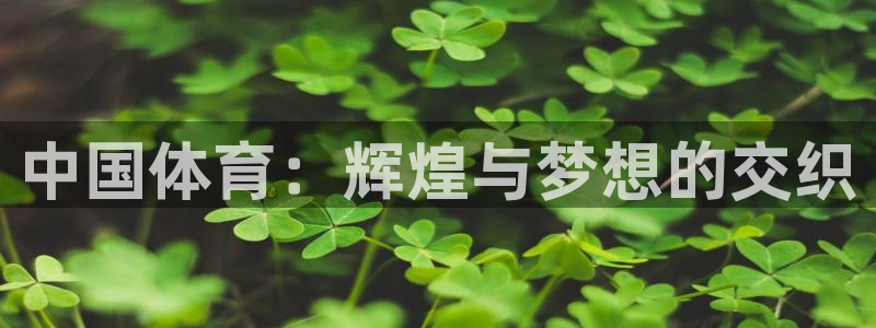沐鸣2零能源集团：中国体育：辉煌与梦想的交织