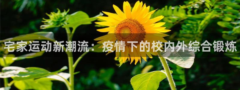 沐鸣2体育app下载：宅家运动新潮流：疫情下的校内外综合锻炼