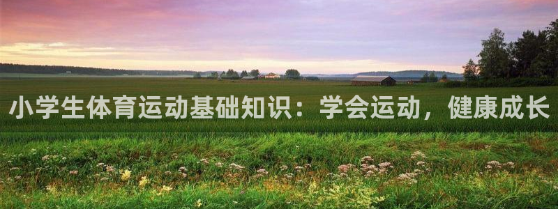 意昂平台注册入口：小学生体育运动基础知识：学会运动，健康成长